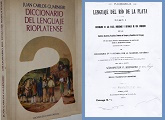 Lexicografía uruguaya