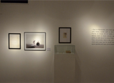 Museo Figari