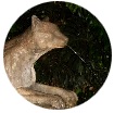 Parque Salus